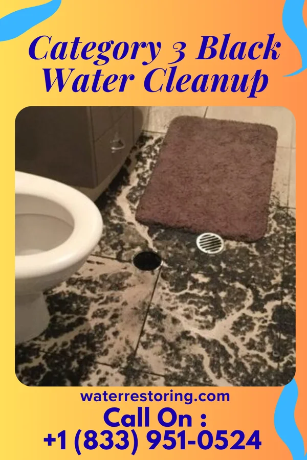 Category 3 Black Water Cleanup in Liberty Center, OH