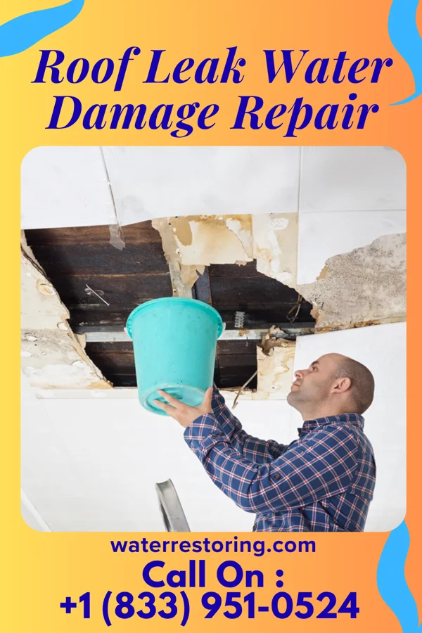 Roof Leak Water Damage Repair in Liberty Center, OH