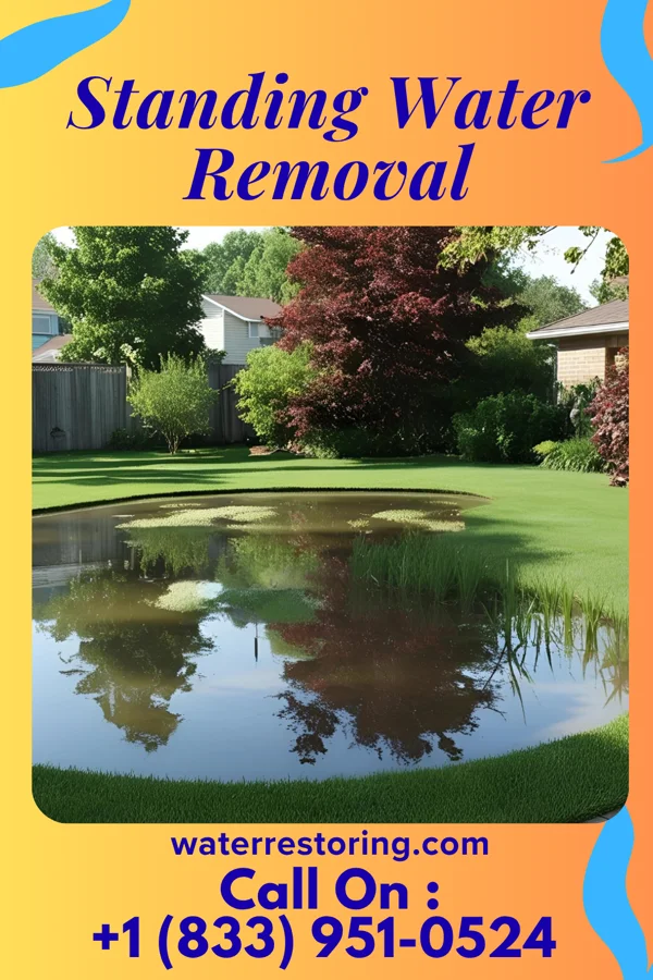 Standing Water Removal in Liberty Center, OH